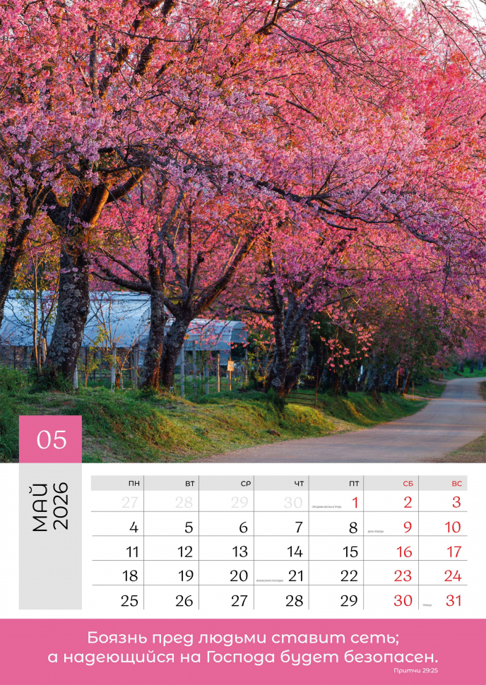 Перекидной календарь 2026: Слово Божье в каждый дом. 6 листов /Библейская лига/