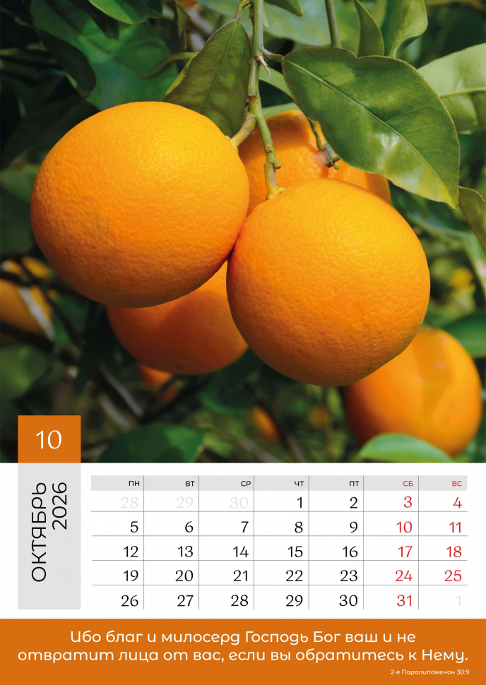 Перекидной календарь 2026: Слово Божье в каждый дом. 6 листов /Библейская лига/