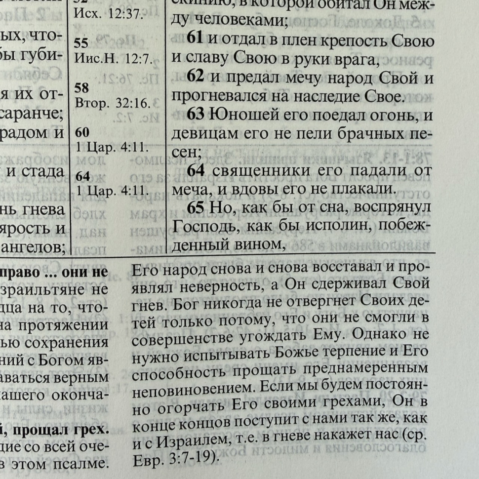 БИБЛИЯ С КОММЕНТАРИЯМИ 065 TI. "Полноценная жизнь". Коричневый цвет с оттенком бордо, кожа, глянец, индексы, две закладки, цветные карты /220х170/
