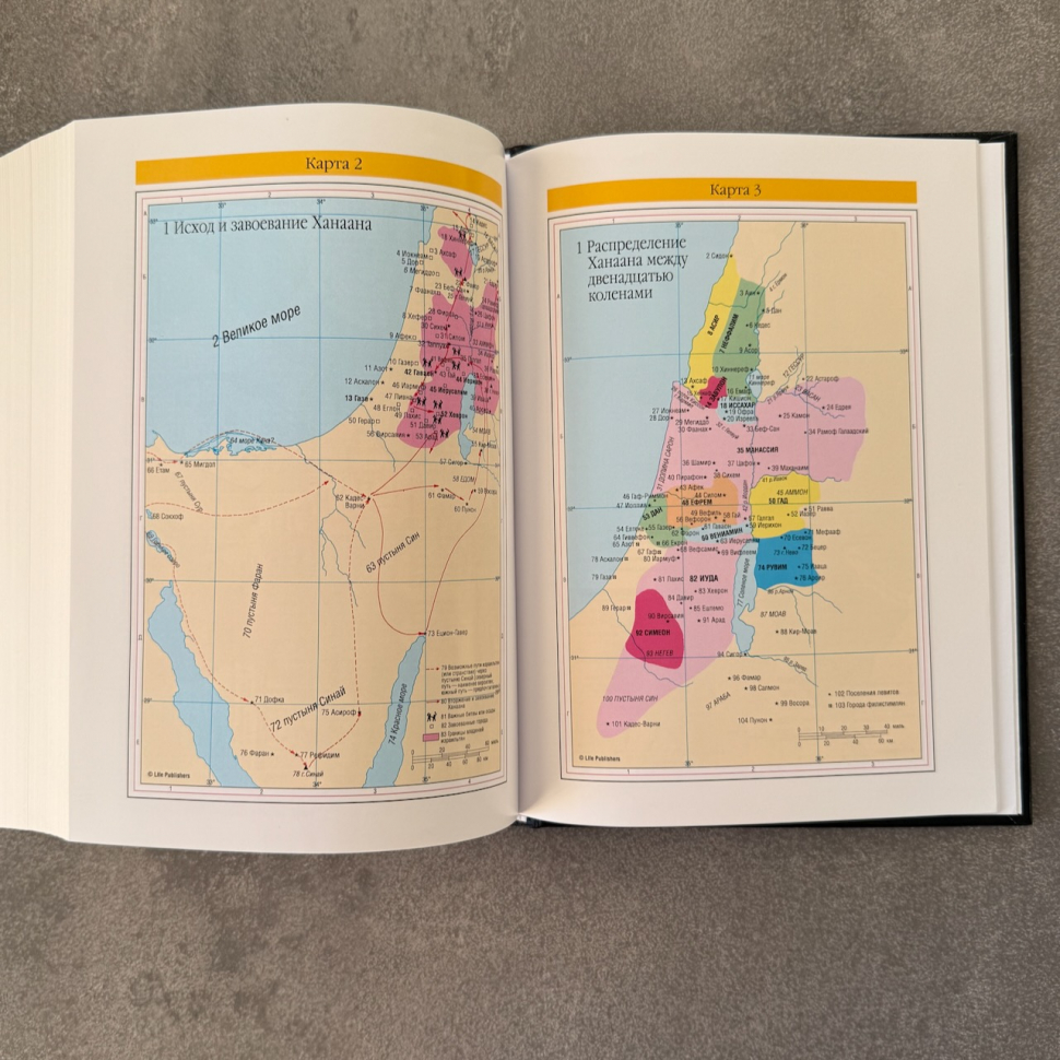 БИБЛИЯ С КОММЕНТАРИЯМИ 065 TI. "Полноценная жизнь". Коричневый цвет с оттенком бордо, кожа, глянец, индексы, две закладки, цветные карты /220х170/