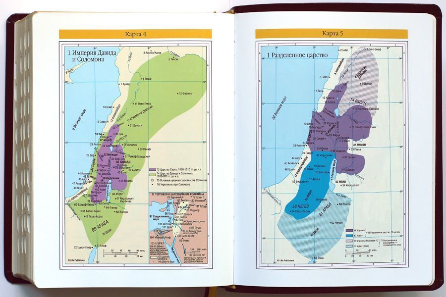 БИБЛИЯ С КОММЕНТАРИЯМИ 065 TI. "Полноценная жизнь". Коричневый цвет с оттенком бордо, кожа, глянец, индексы, две закладки, цветные карты /220х170/