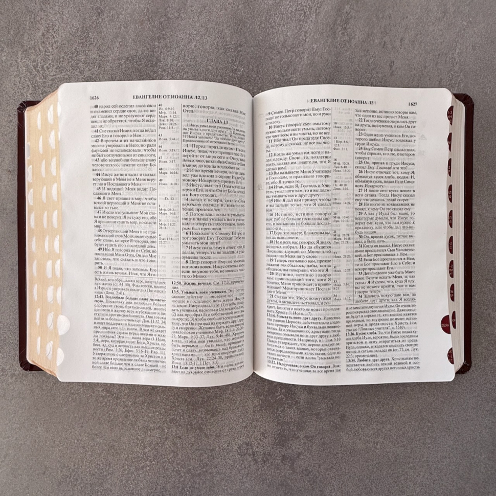 БИБЛИЯ С КОММЕНТАРИЯМИ 065 TI. "Полноценная жизнь". Коричневый цвет с оттенком бордо, кожа, глянец, индексы, две закладки, цветные карты /220х170/