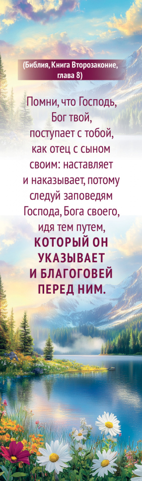 Закладка одинарная 4x16: Господь поступает с тобой, как отец с сыном