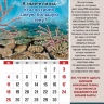 Перекидной календарь 2023: Чудеса природы