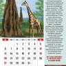 Перекидной календарь 2023: Чудеса природы