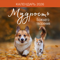 Перекидной календарь на скрепке 2026: Мудрость Божьего творения