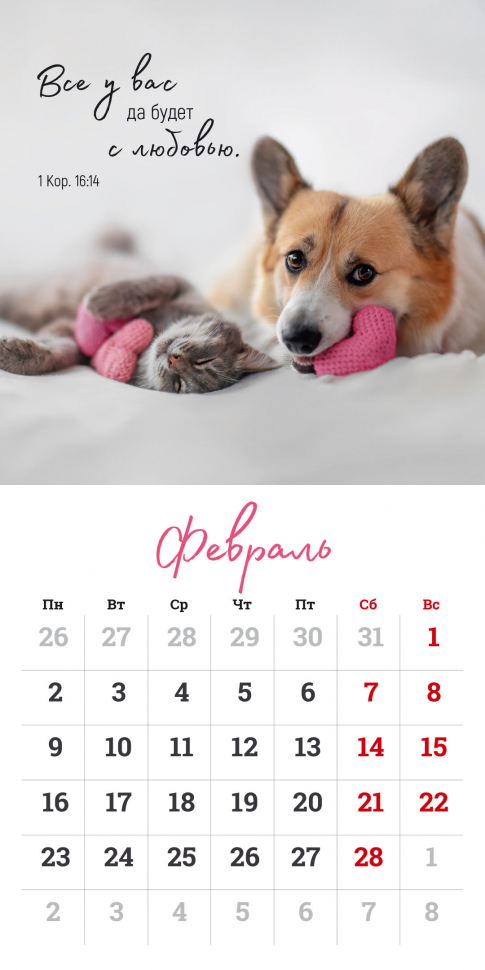 Перекидной календарь на скрепке 2026: Мудрость Божьего творения