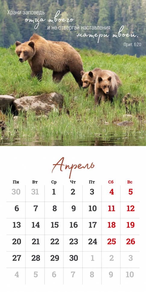 Перекидной календарь на скрепке 2026: Мудрость Божьего творения