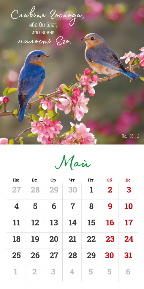 Перекидной календарь на скрепке 2026: Мудрость Божьего творения