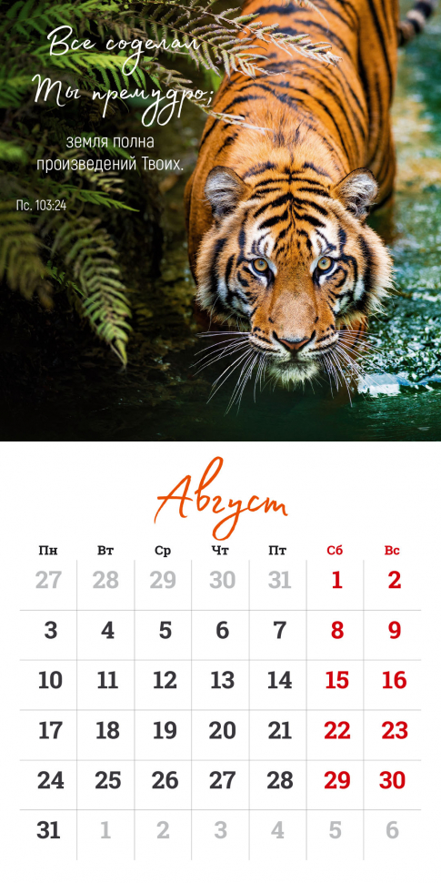 Перекидной календарь на скрепке 2026: Мудрость Божьего творения