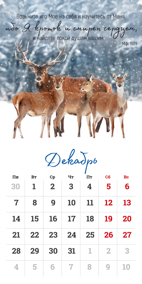 Перекидной календарь на скрепке 2026: Мудрость Божьего творения