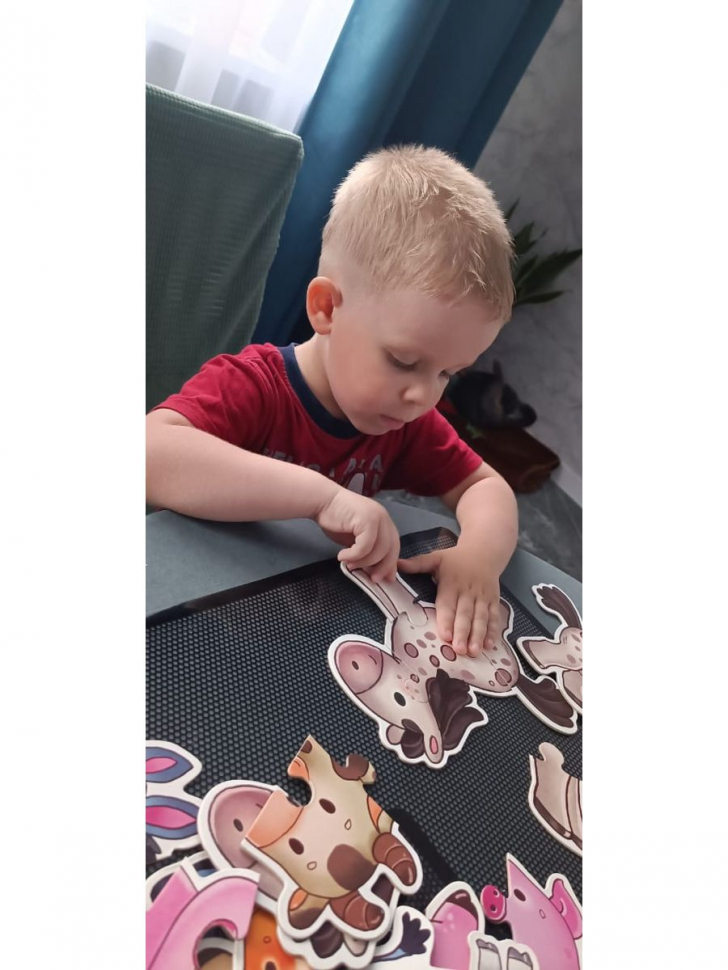 МАКСИ ПАЗЛЫ. Домашние животные /Набор из 7 картинок/