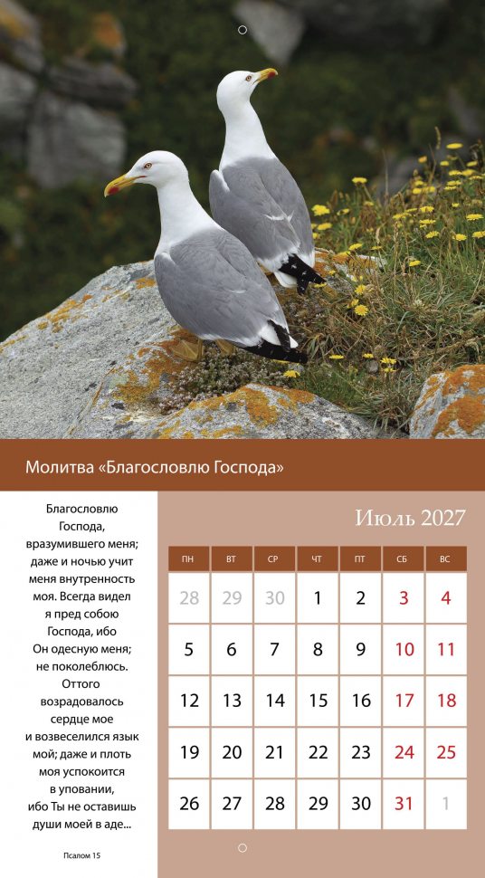 Перекидной календарь 2027: Свет молитвы /Библейская лига/
