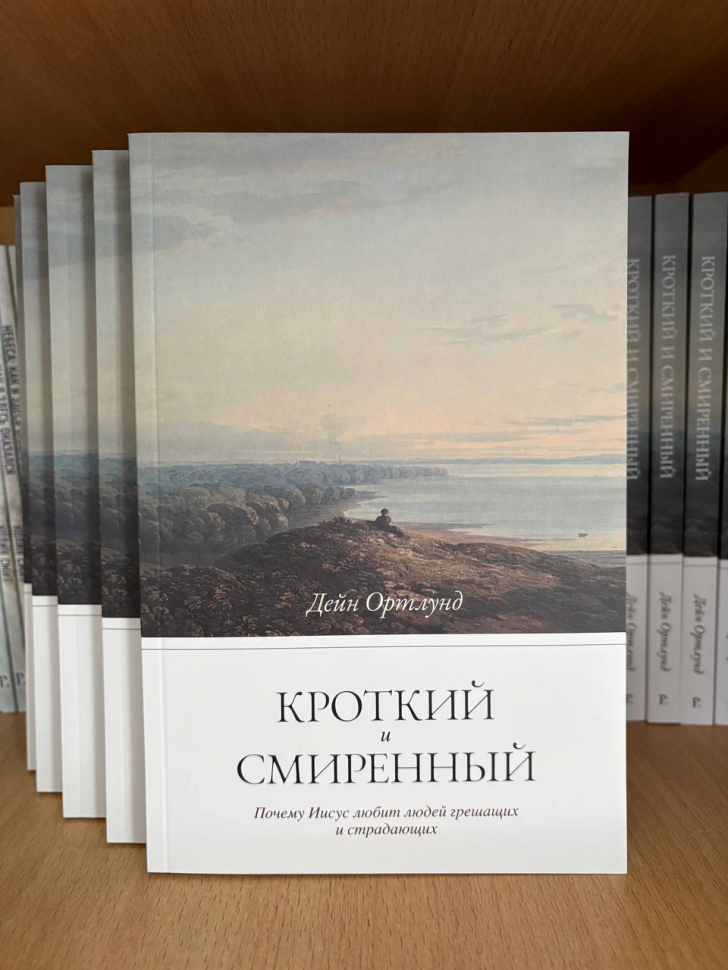 Уценка! КРОТКИЙ И СМИРЕННЫЙ. Дейн Ортлунд