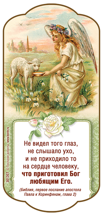 Что приготовил бог любящим его. Что приготовил бог любящим его. Что приготовил бог любящим его. Не видел того глаз библия. Что приготовил господь любящим.