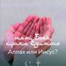 НЕТ БОГА, КРОМЕ ЕДИНОГО: Аллах или Иисус? Набиль Куреши