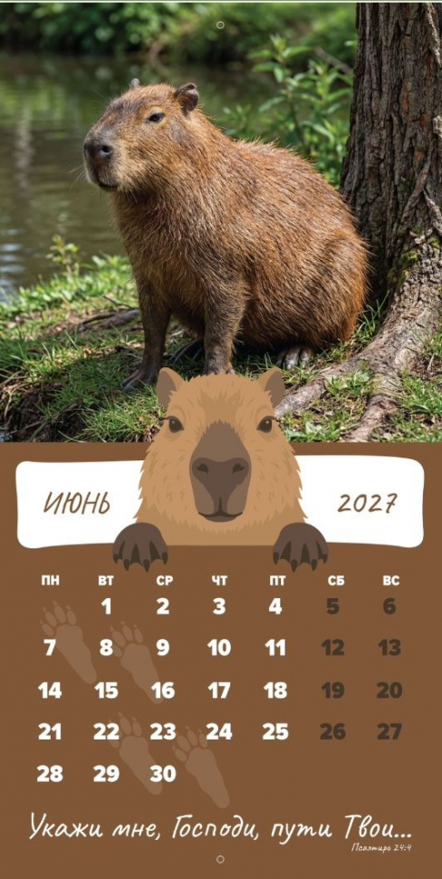 Перекидной календарь 2027: Забавные животные (детский) /Библейская лига/