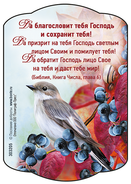 Да благословит вас господь и сохранит вас картинки