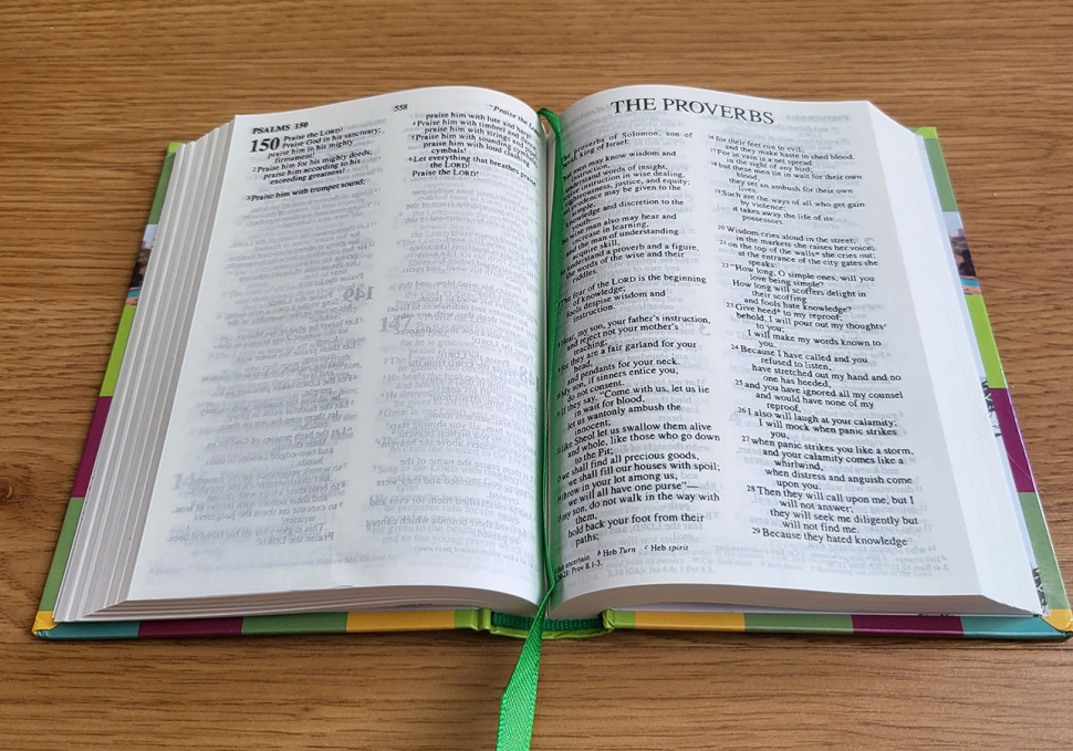 Уценка! HOLY BIBLE. REVISED STANDARD VERSION BIBLES /155x110/