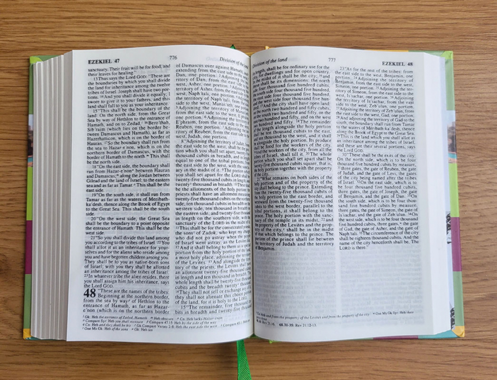 Уценка! HOLY BIBLE. REVISED STANDARD VERSION BIBLES /155x110/