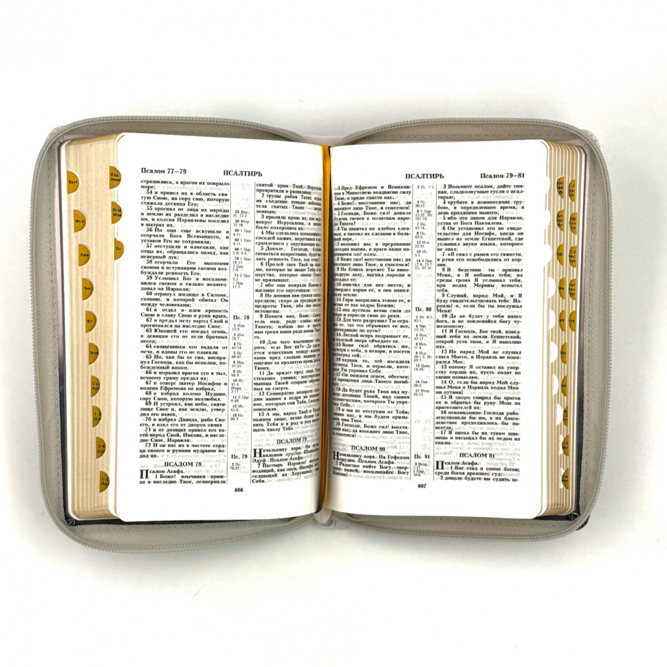 БИБЛИЯ 048 ZTI. Цветная печать "орел", искусственная кожа, молния, индексы, золотой обрез, параллельные места, закладки /195х125/
