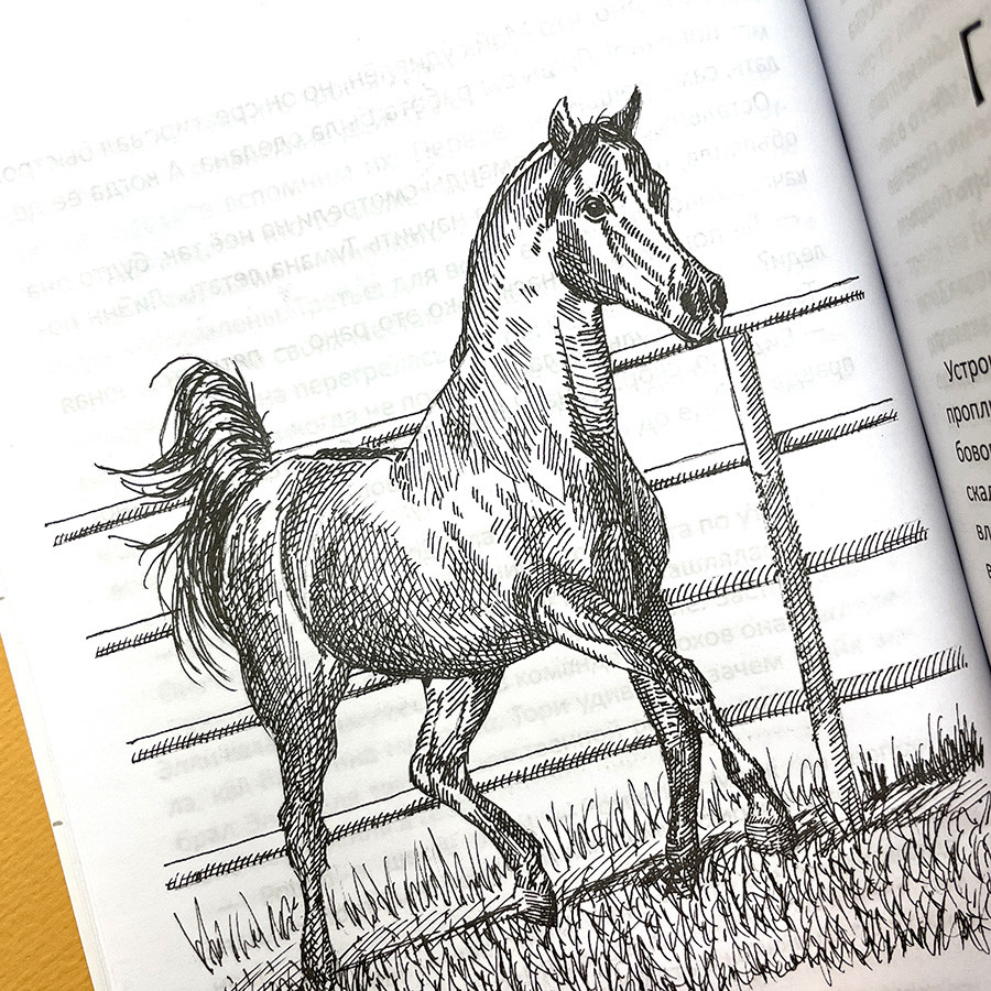 ДЫМКА. Том 2. Джоанна Читвуд