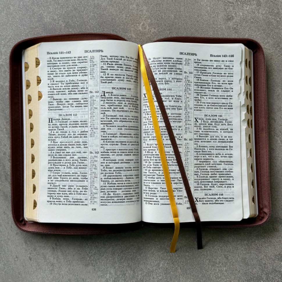 БИБЛИЯ 055 ZTI Терновый венец, коричневый цвет, кожа, молния, индексы, две закладки, золотой срез, параллельные места, крупный шрифт /143х220/