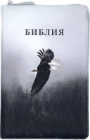 БИБЛИЯ 055 ZTI Цветная печать "Орел", кожа, молния, индексы, две закладки, золотой срез, параллельные места, крупный шрифт /143х220/