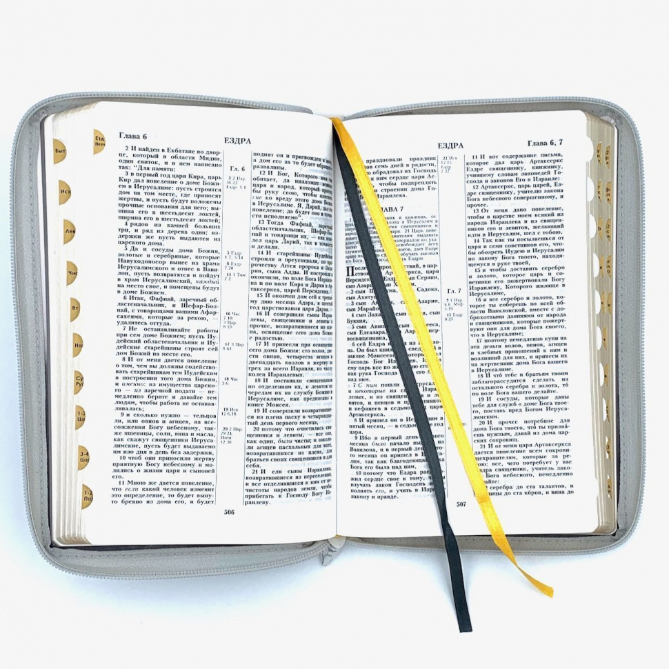 БИБЛИЯ 055 ZTI Цветная печать "Орел", кожа, молния, индексы, две закладки, золотой срез, параллельные места, крупный шрифт /143х220/