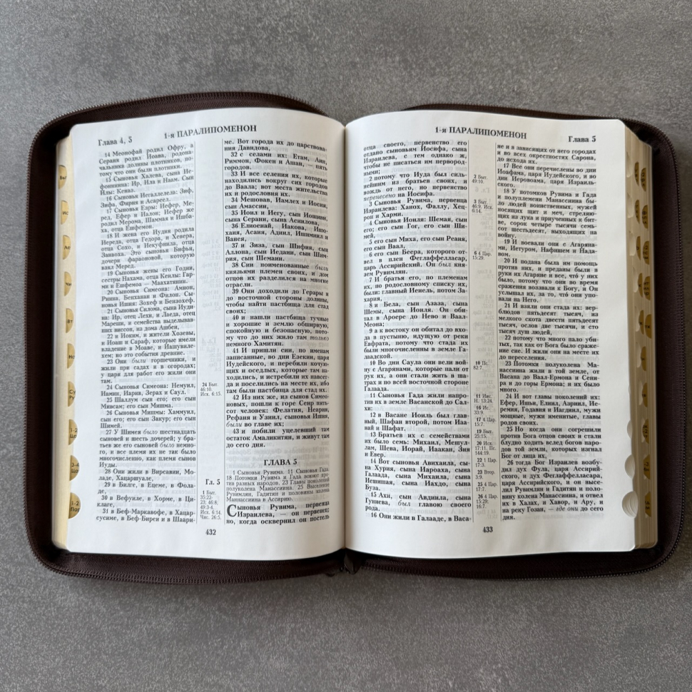 БИБЛИЯ 076 ZTI Золотой лев, коричневый цвет, кожа, зол. обрез, индексы, две закладки /180x245 мм/